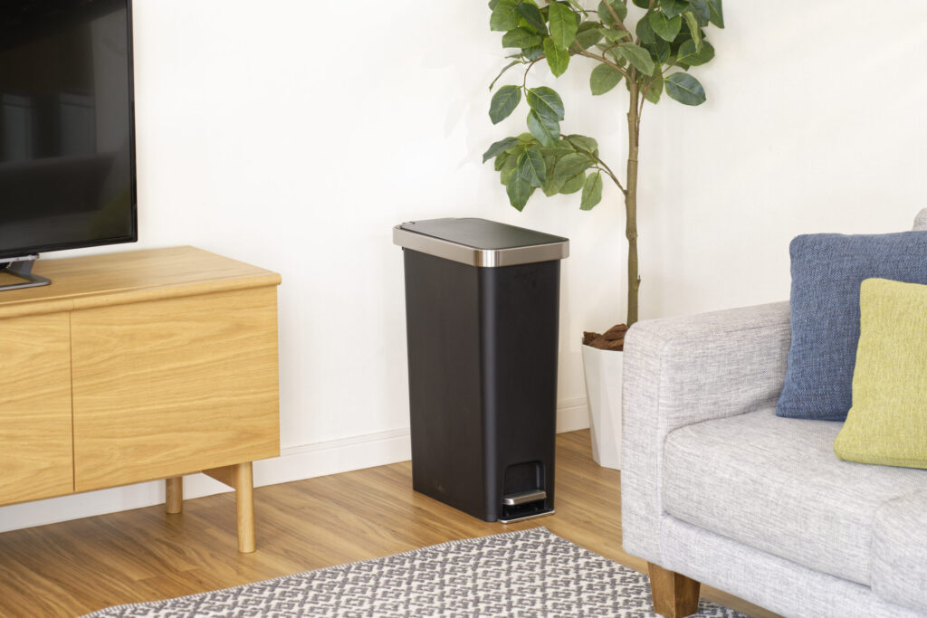 HANA-SLIM-STEP-BIN-1024x683.jpg